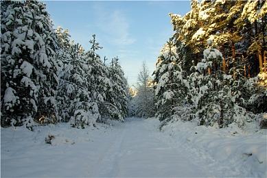 Fami通新作评分公布：《马里奥赛车：世界》36分进入白金殿堂！